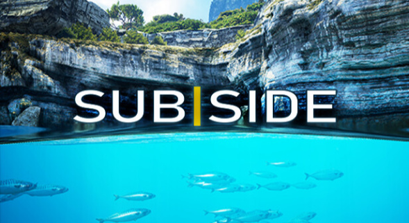 Subside